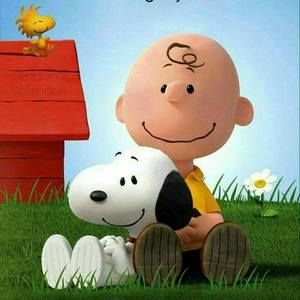 Meet your Posher, Bernadette